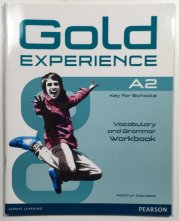 Gold Experience A2 Workbook without key - 