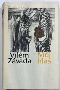 Můj hlas