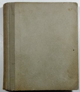 Cesta slonů