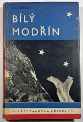 Bílý modřín - 