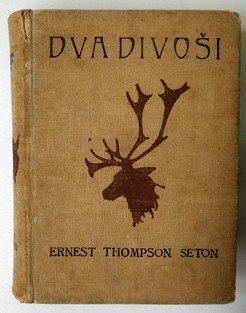 Dva divoši
