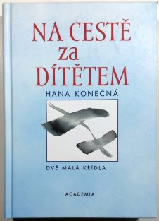 Na cestě za dítětem