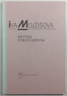 Kritika porozuměním