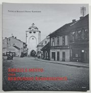 Zmizelé město aneb Berounské reminiscence - 