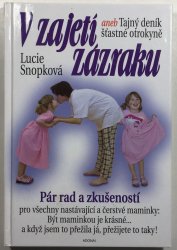 V zajetí zázraku aneb Tajný deník šťastné otrokyně - 