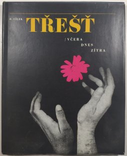 Třešť - včera / dnes / zítra