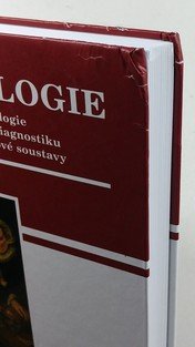 Kineziologie