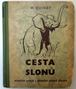 Cesta slonů
