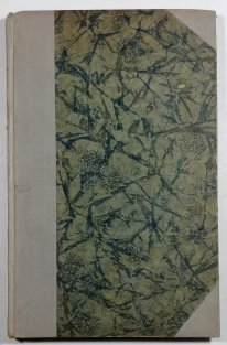 Homo sapiens II - Cestou