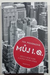 Můj I.Q. - Město New York a jedna divná láska