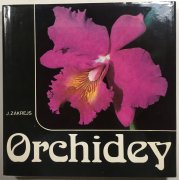 Orchidey - 