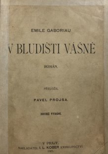 V bludišti vášně