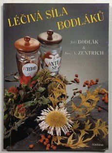 Léčivá síla bodláků