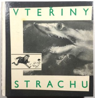 Vteřiny strachu