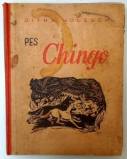 Pes Chingo - Román z brazilské divočiny