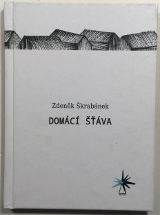 Domácí šťáva