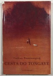 Cesta do Tongaye - 