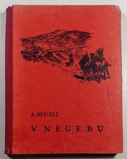 V Negebu