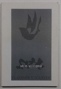Stín stromu