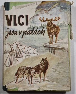 Vlci jsou v patách