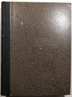 Das lateinische Sprachmaterial im Wotrschatze