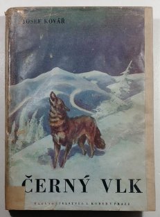 Černý vlk