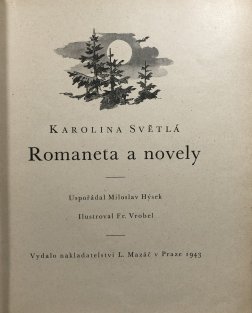 Romaneta a novely